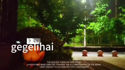 你们要的户外弹力插